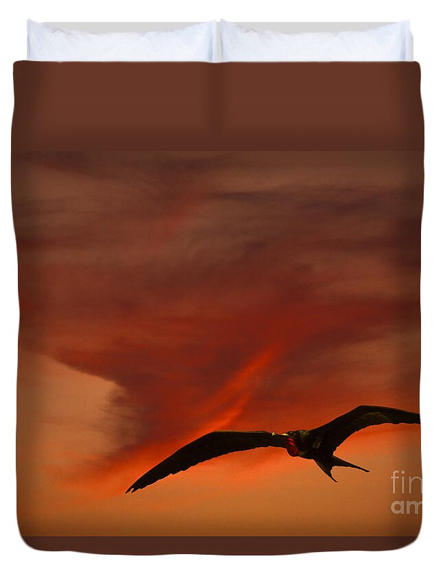 Animal Duvet Cover featuring the photograph Frigate Bird by Ron Sanford