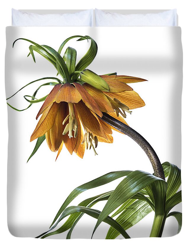 Flower Duvet Cover featuring the photograph Fritillaria Imperialis by Endre Balogh