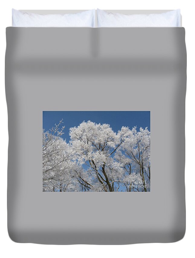 Frost Duvet Cover featuring the photograph Frost on the Elms by Conni Schaftenaar
