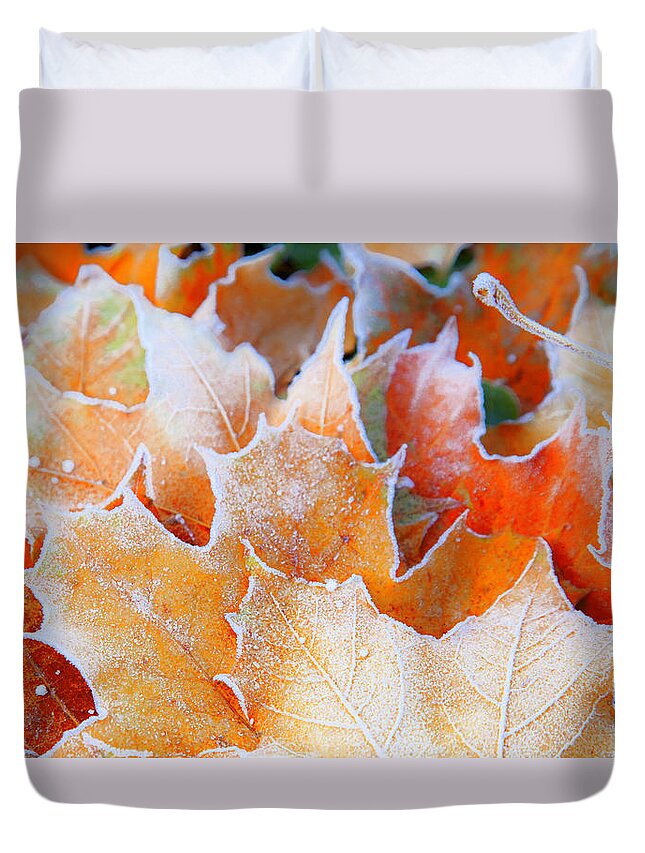 Autumn Duvet Cover featuring the photograph Frost Touched by Theresa Tahara
