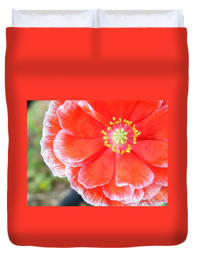  Flower Duvet Cover featuring the photograph Frosted by Brian Boyle