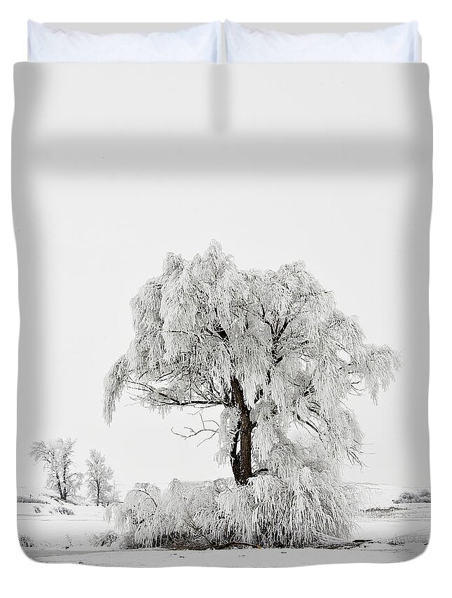 Hoar Duvet Cover featuring the photograph Frosted by Mary Jo Allen