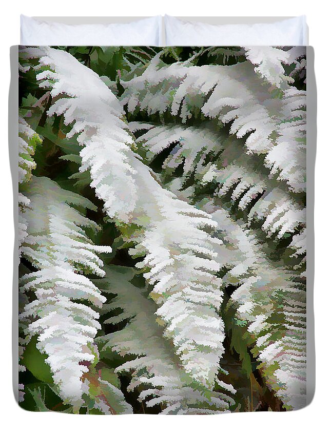 Ferns Duvet Cover featuring the photograph Frosty Ferns by Ron Roberts