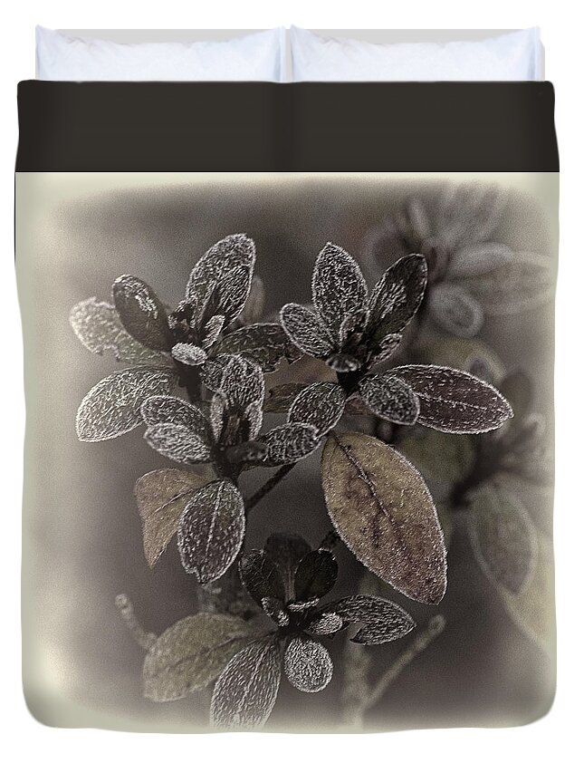 Frost Duvet Cover featuring the photograph Frosty Leaves by Ron Roberts