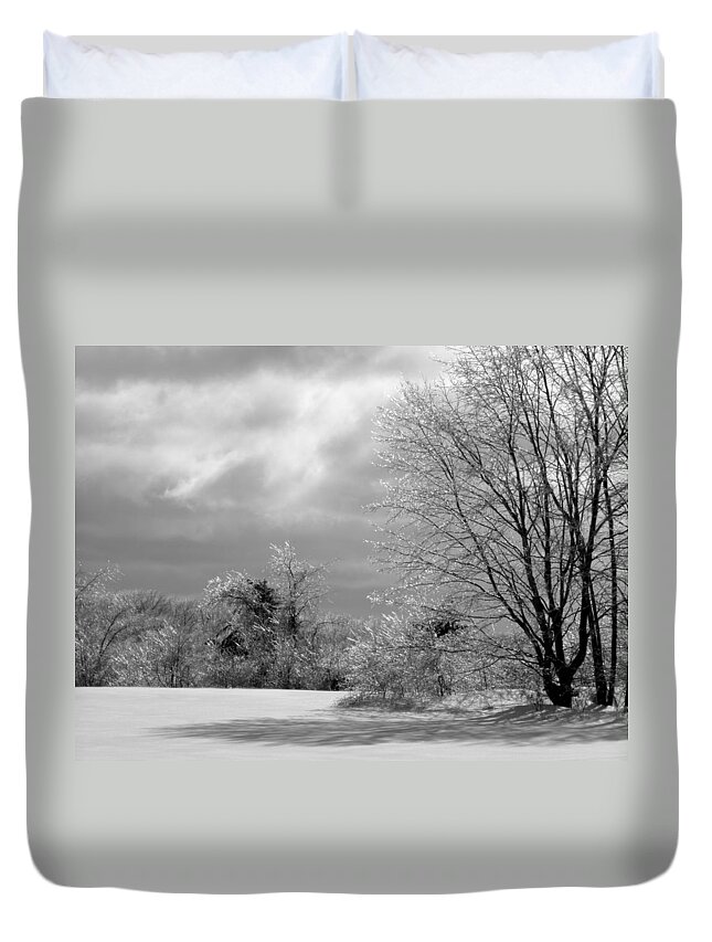 Ice Duvet Cover featuring the photograph Frozen In Perfect Harmony CT USA by Kim Galluzzo