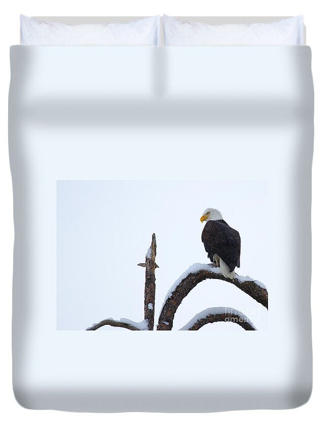 American Bald Eagle Duvet Cover featuring the photograph Frozen Perch by Michael Dawson