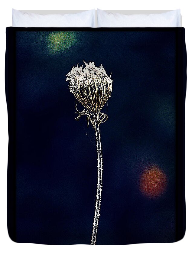 Queen Anne's Lace Duvet Cover featuring the photograph Frozen Warmth by Melanie Lankford Photography