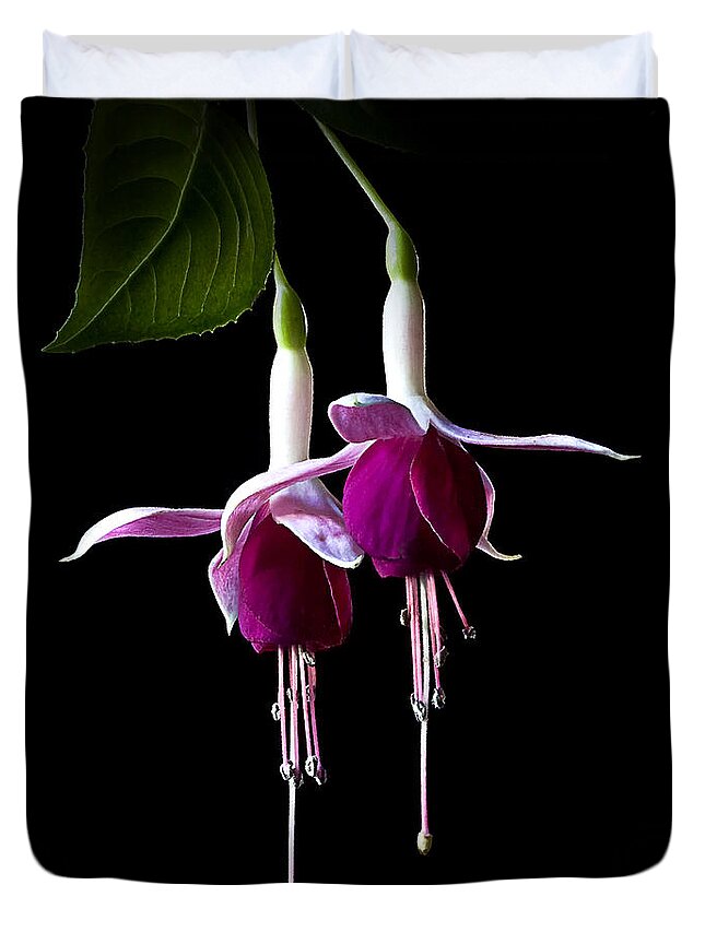 Flower Duvet Cover featuring the photograph Fuchsias by Endre Balogh