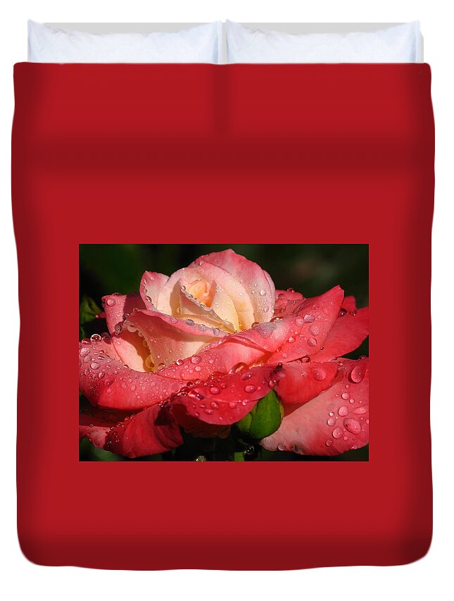 Rose Duvet Cover featuring the photograph Full Bloom by Juergen Roth