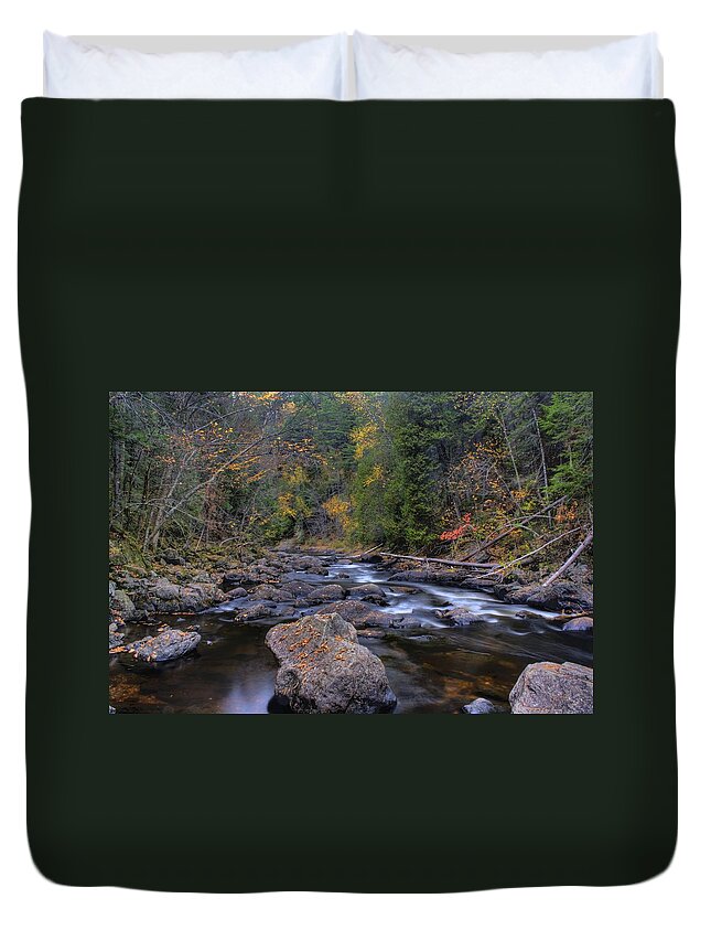 Hdr Duvet Cover featuring the photograph Full of Moxie by Greg DeBeck