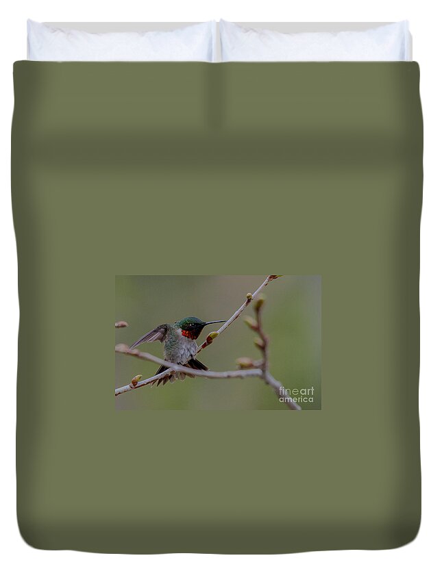 Landscape Duvet Cover featuring the photograph Funky Hummingbird by Cheryl Baxter