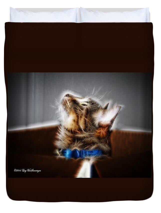 Cat Duvet Cover featuring the photograph Fuzzy Friend by Lucy VanSwearingen