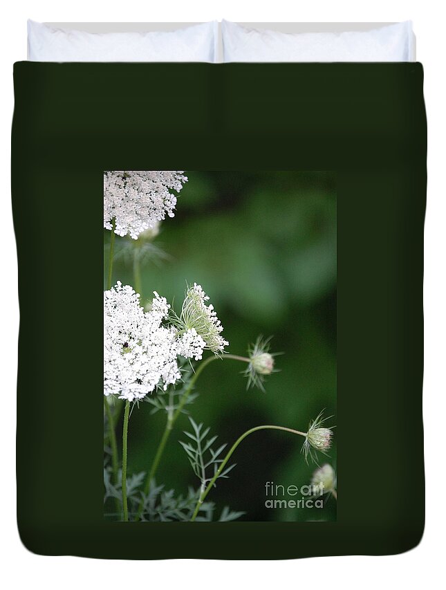 First Star Art Duvet Cover featuring the photograph Garden Lace Group by jammer by First Star Art