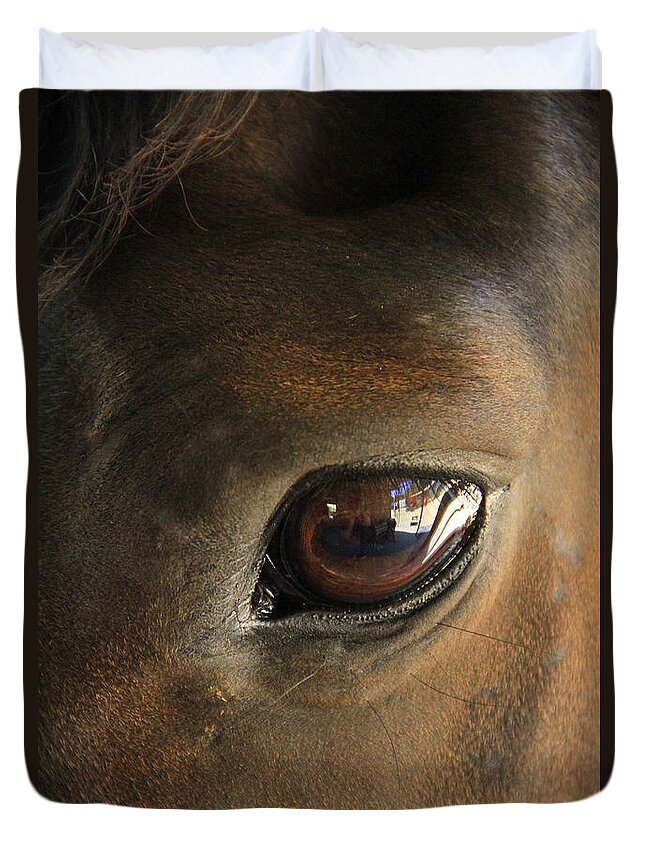Horse Duvet Cover featuring the photograph Gateway to a horses soul by Shoal Hollingsworth
