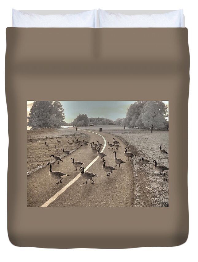 Goose Duvet Cover featuring the photograph Geese Crossing by Jane Linders