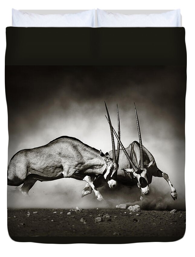 Gemsbok Duvet Cover featuring the photograph Gemsbok fight by Johan Swanepoel