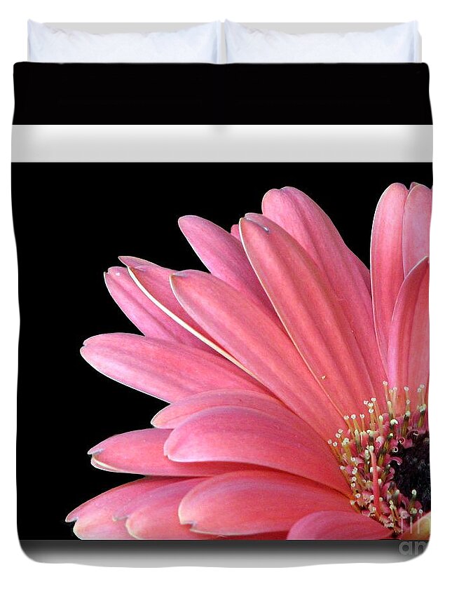 One Black Duvet Cover featuring the photograph Gerbera Encore by Chris Anderson