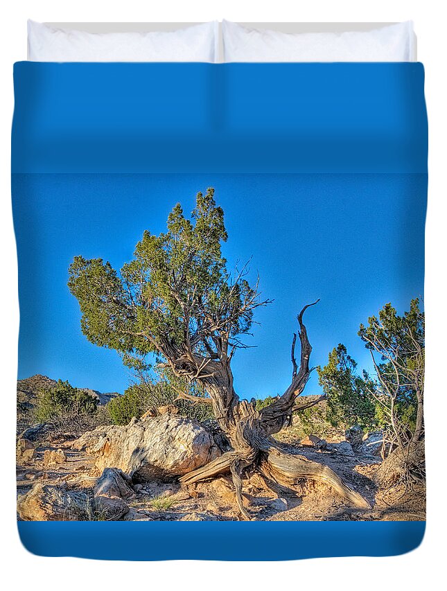 Southwest Usa Duvet Cover featuring the photograph Ghost Ranch Juniper by Alan Toepfer