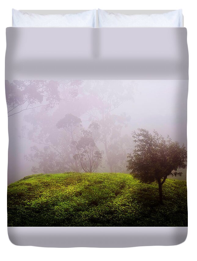 Jenny Rainbow Fine Art Photography Duvet Cover featuring the photograph Ghost Tree in the Haunted Forest. Nuwara Eliya. Sri Lanka by Jenny Rainbow