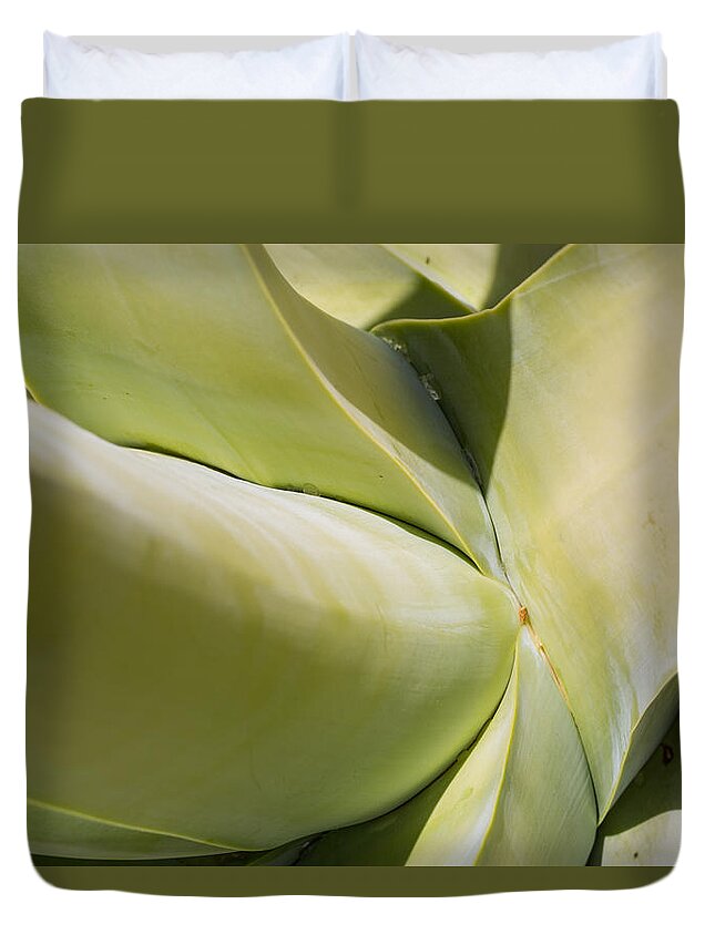 Agave Duvet Cover featuring the photograph Giant Agave Abstract 9 by Scott Campbell