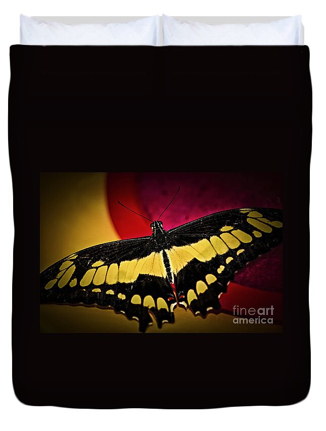 Giant Duvet Cover featuring the photograph Giant swallowtail butterfly by Elena Elisseeva