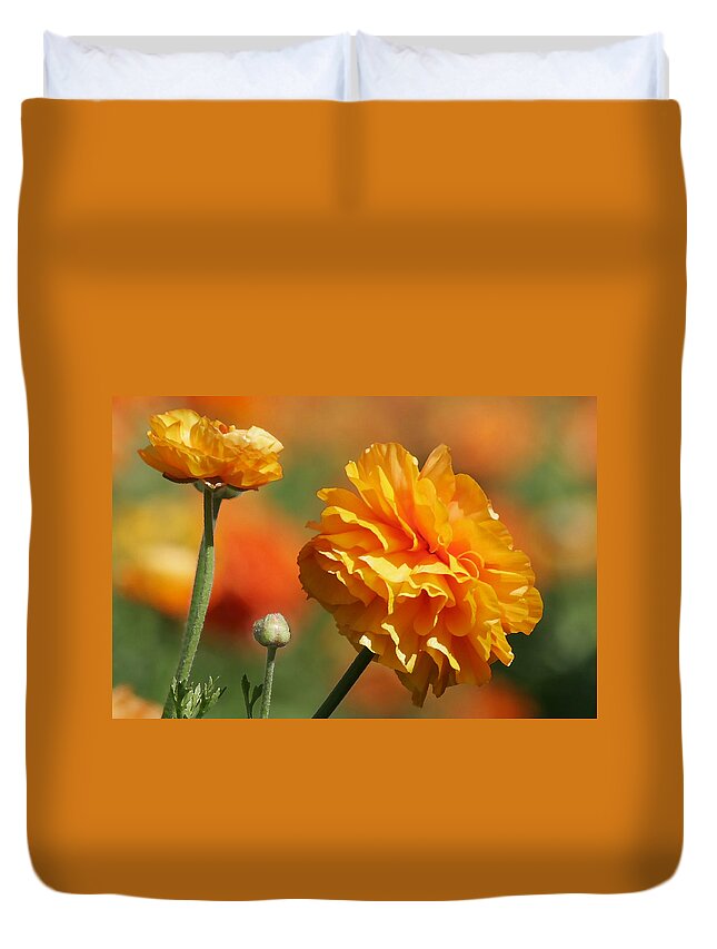 Field Duvet Cover featuring the photograph Giant Tecolote Ranunculus - Carlsbad Flower Fields CA by Alexandra Till