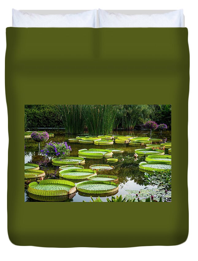 Tranquility Duvet Cover featuring the photograph Giant Water Lily, Mizunomori Water by Akiko Morita