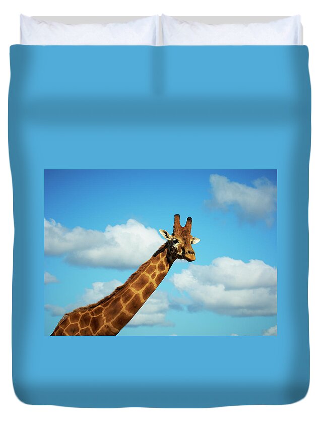 Animal Themes Duvet Cover featuring the photograph Giraffe At Werribee Zoo by James Braund