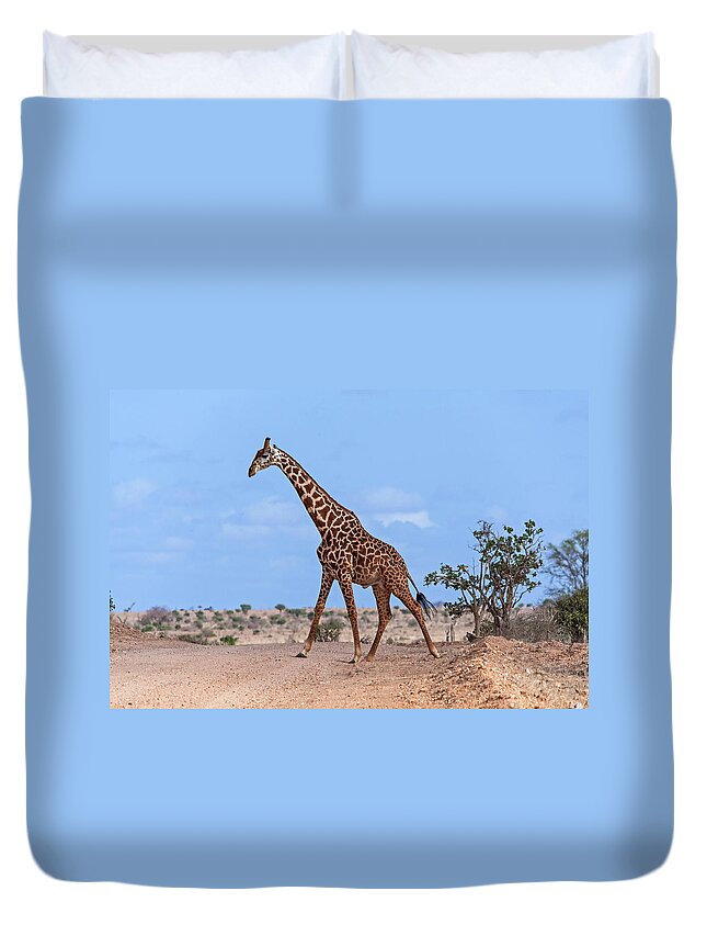 Kenya Duvet Cover featuring the photograph Giraffe by Manuelo Bececco Global Nature Photographer