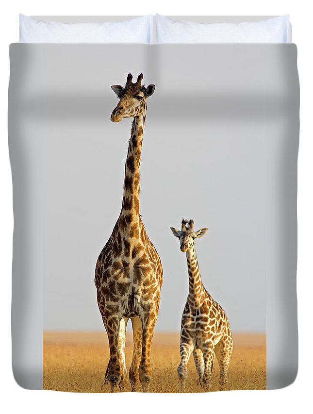 Scenics Duvet Cover featuring the photograph Giraffe With Calf by Wldavies