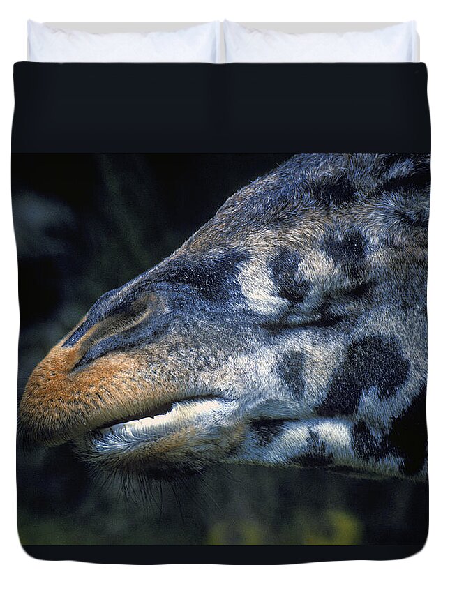 Giraffe Duvet Cover featuring the photograph Giraffe's Mouth by Paul W Faust - Impressions of Light