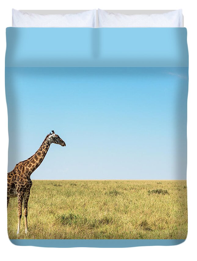Tranquility Duvet Cover featuring the photograph Giraffes On Savannah Grassland by Mike Hill