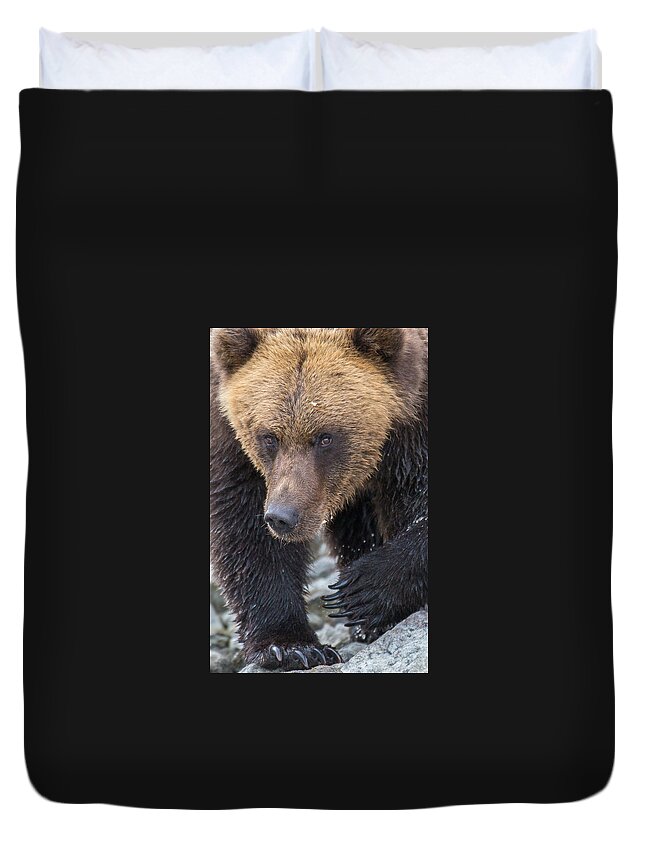 Bear Duvet Cover featuring the photograph Glacier's Edge by Kevin Dietrich