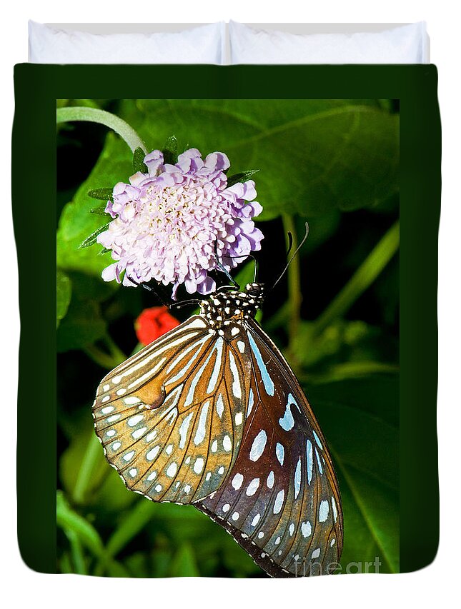 Nature Duvet Cover featuring the photograph Glassy Blue Tiger Butterfly by Millard H. Sharp