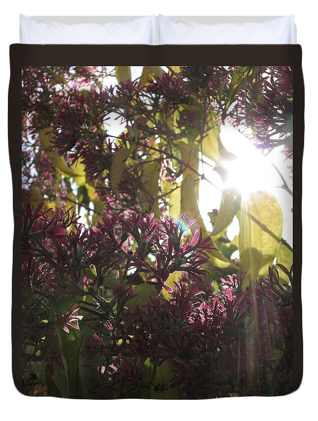 Sun Duvet Cover featuring the photograph Gleam by Jessica Myscofski