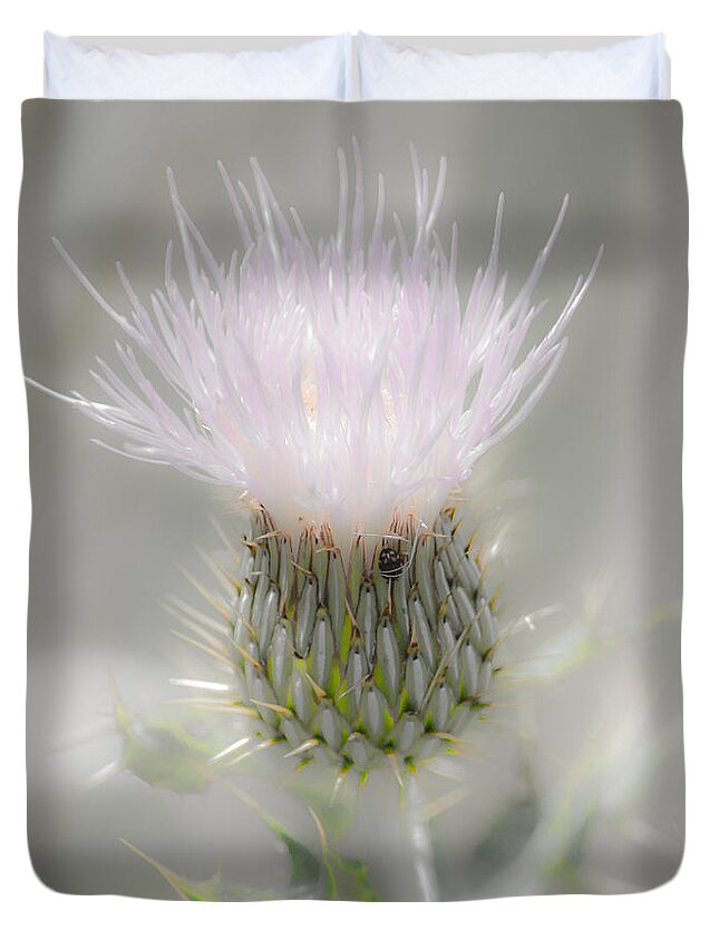 Glimmering Thistle Duvet Cover featuring the photograph Glimmering Thistle by Debra Martz