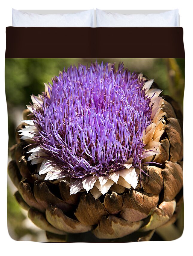 Globe Duvet Cover featuring the photograph Globe Artichoke by John Daly