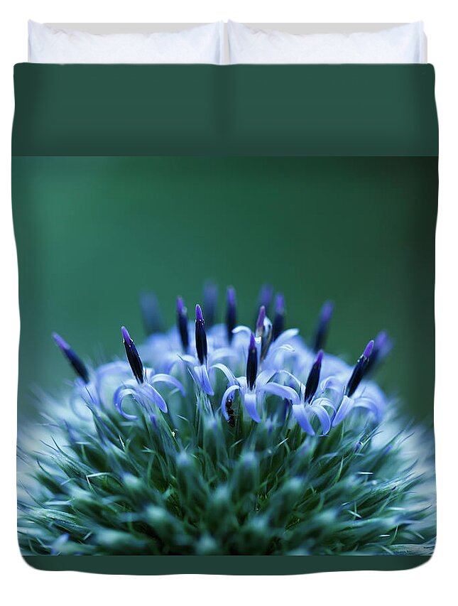 Outdoors Duvet Cover featuring the photograph Globe Thistle by Laszlo Podor