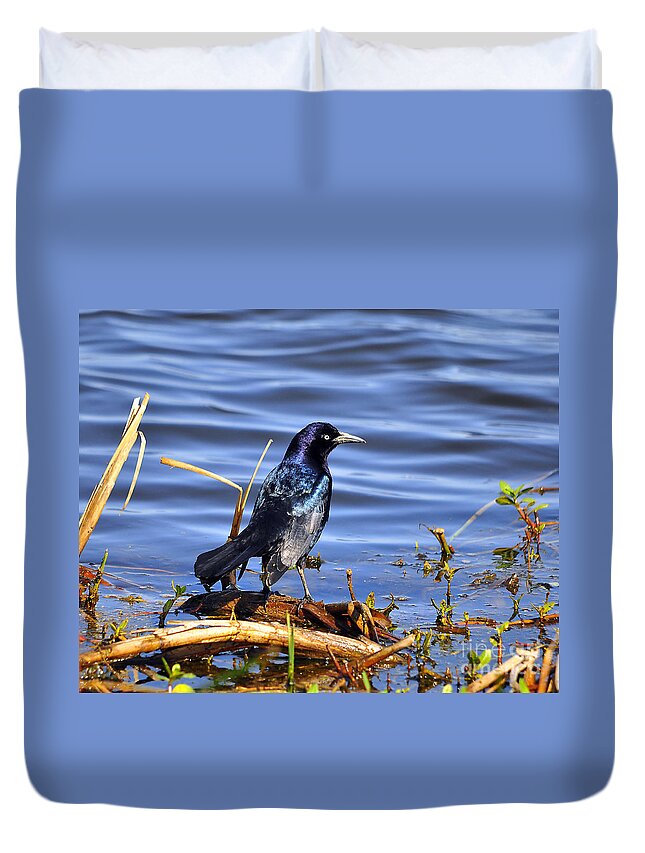 Grackle Duvet Cover featuring the photograph Glorious Grackle by Al Powell Photography USA
