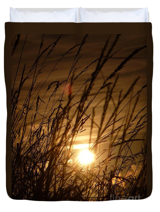 Sunset Duvet Cover featuring the photograph Glow Through The Grass by Vicki Spindler