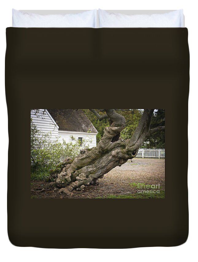 Williamsburg Duvet Cover featuring the photograph Gnarly by Teresa Mucha