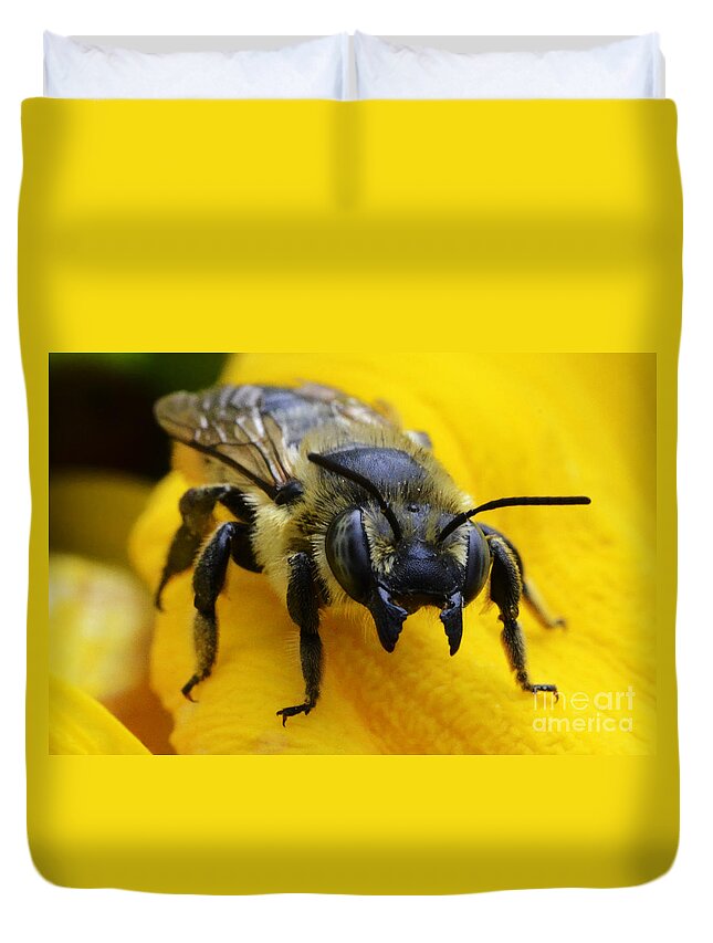 Bee Duvet Cover featuring the photograph Go Ahead Make My Day by Bob Christopher