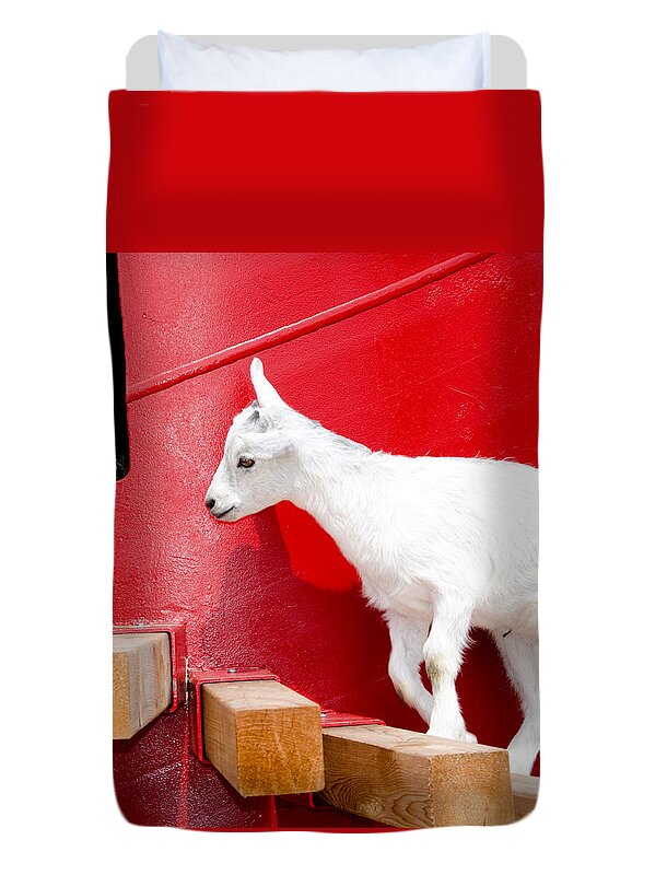 Goat Duvet Cover featuring the photograph Kid's Play by Laurel Best