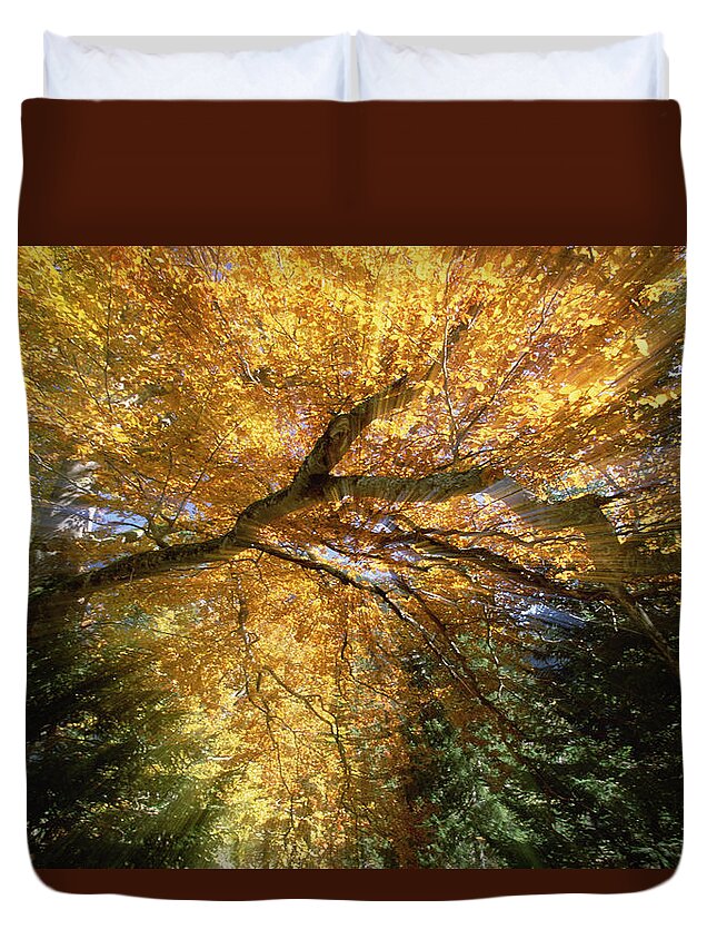 Feb0514 Duvet Cover featuring the photograph Golden-colored Autumn Foliage Abstract by Konrad Wothe
