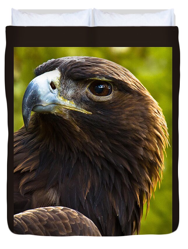 Golden Eagle Duvet Cover featuring the photograph Golden Eagle by Robert L Jackson