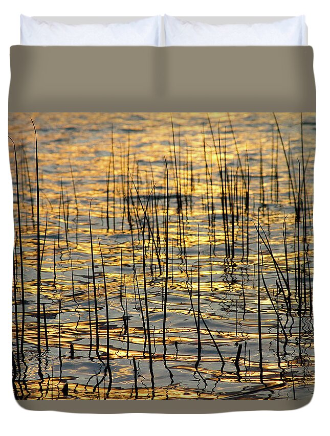 Golden Duvet Cover featuring the photograph Golden Lake Ripples by James BO Insogna