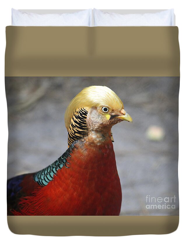 Golden Pheasant Duvet Cover featuring the photograph Golden Pheasant by Marty Fancy