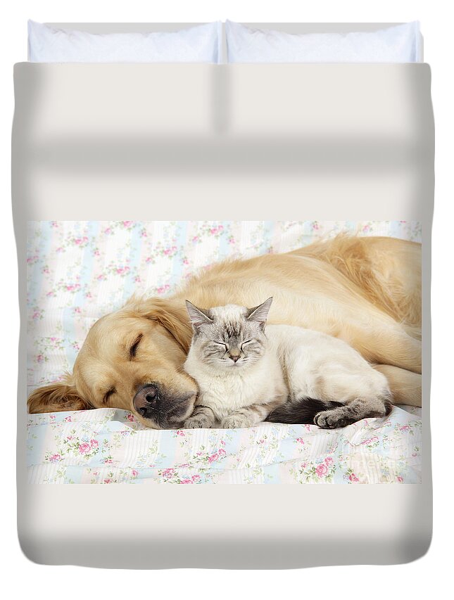 Dog Duvet Cover featuring the photograph Golden Retriever And Cat by John Daniels
