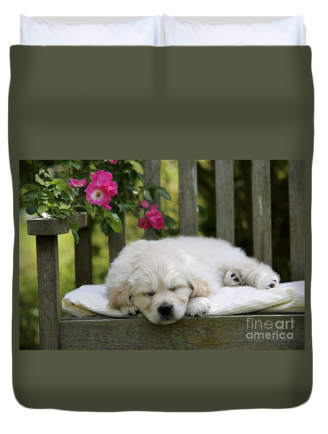 Golden Retriever Duvet Cover featuring the photograph Golden Retriever Puppy Sleeping by John Daniels