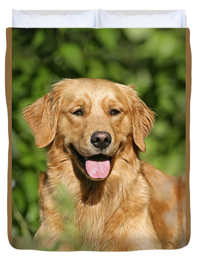 Dog Duvet Cover featuring the photograph Golden Retriever by Rolf Kopfle